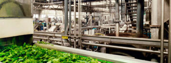 Agro voedingsindustrie 1020 380